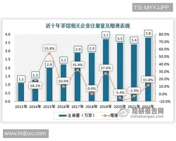 深入分析北京排球队的运营策略与发展模式探讨